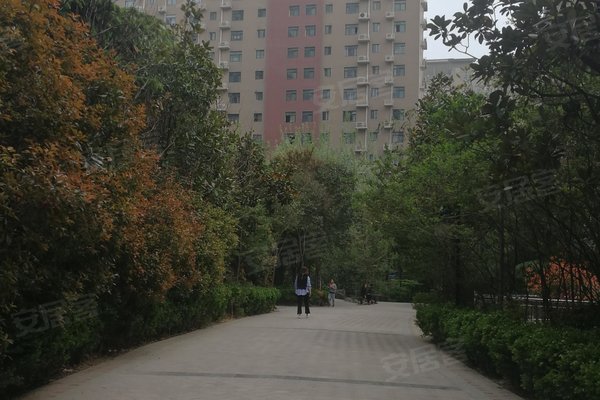 西岸国际花园最新动态，自然美景的探索之旅，内心平和与喜悦的寻觅之旅