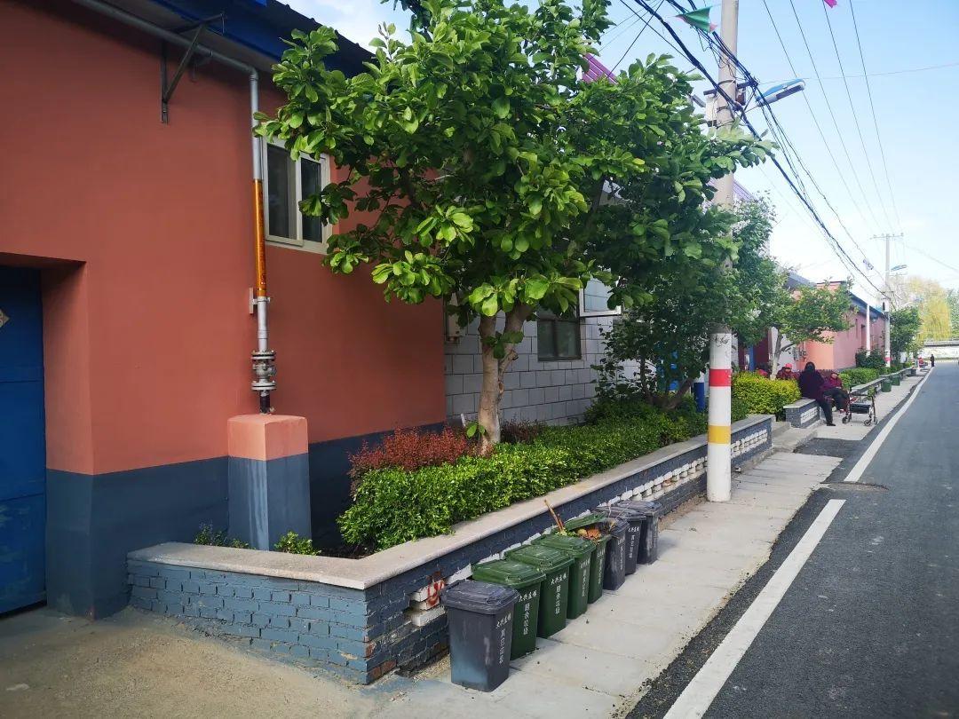 平谷区大兴庄最新规划揭秘，未来发展蓝图与改造动向