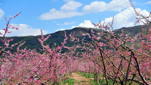 平谷区大兴庄最新规划揭秘，未来发展蓝图与改造动向