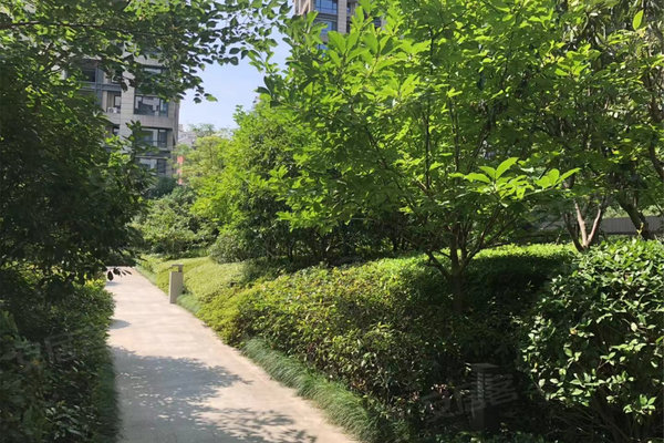 中企艮山府，家的温馨与友情的深度纽带最新资讯