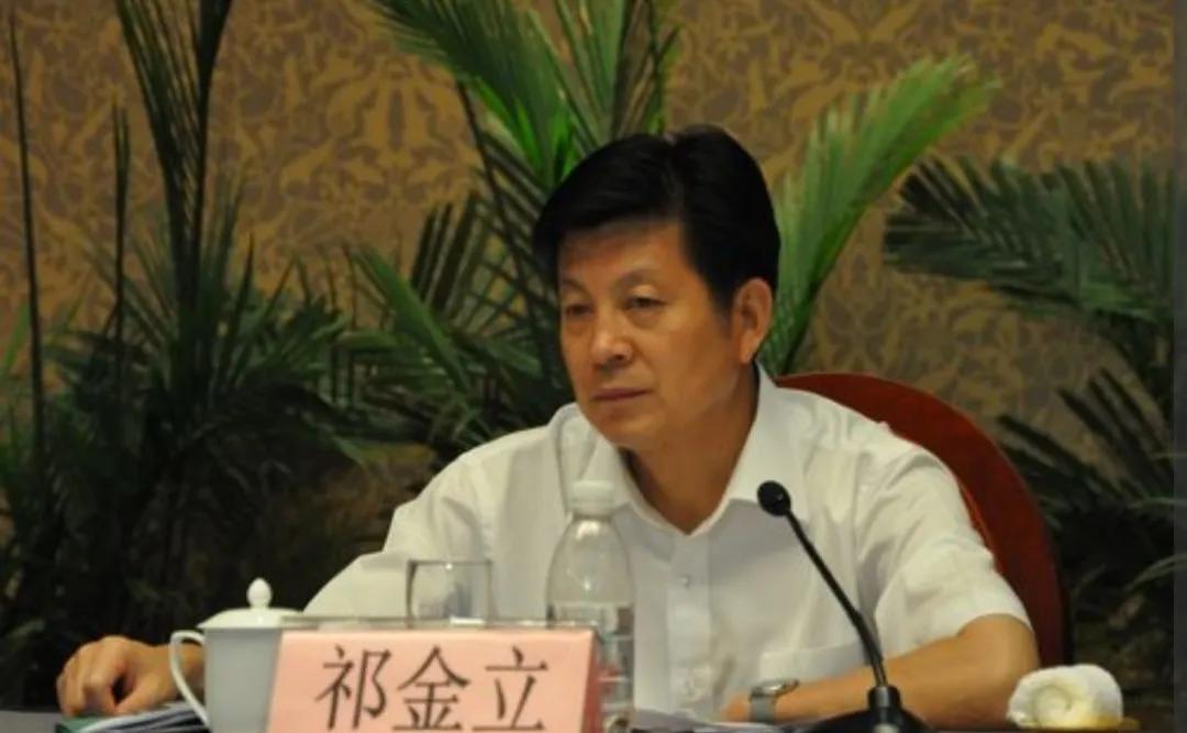 魏金立最新动态，日常趣事与温情时刻回顾