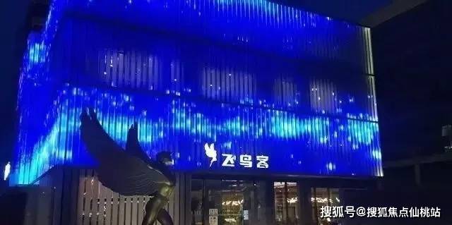 杭州飞鸟客最新动态更新