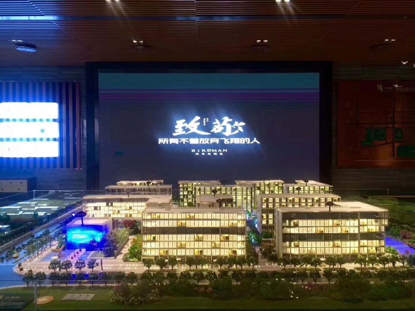 杭州飞鸟客最新动态更新