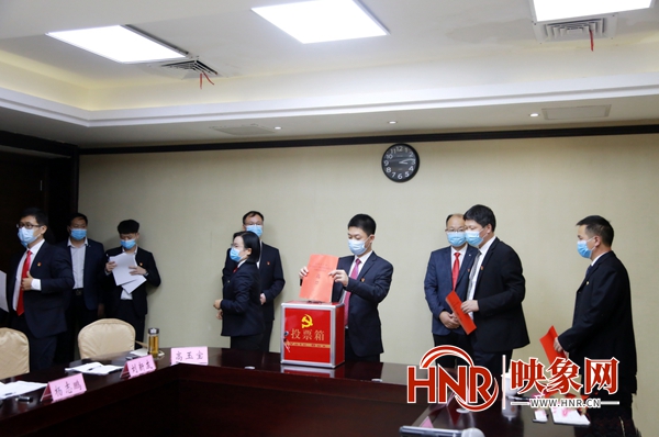 西平县委最新领导班子的构成及其深度影响力分析
