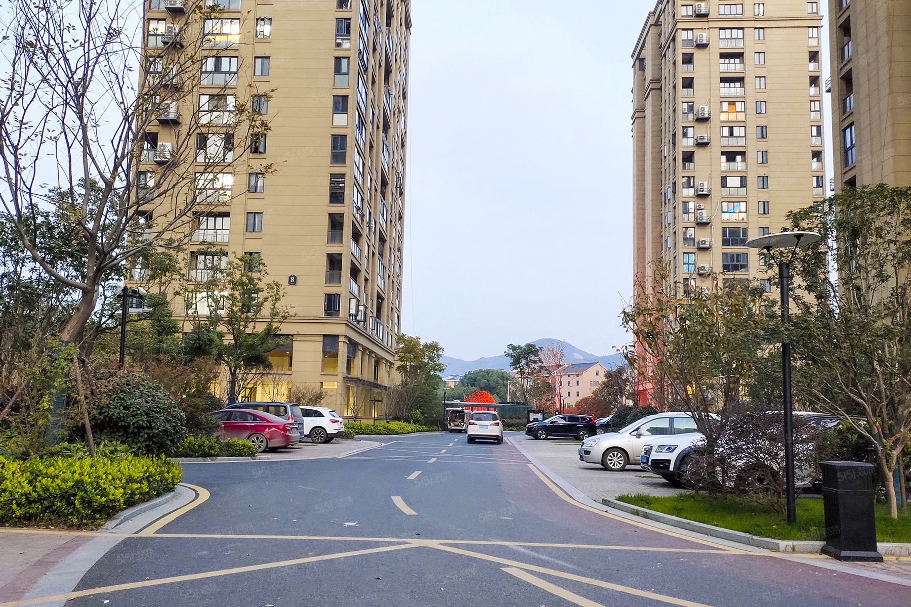 杭钢旭润和府最新动态，引领现代居住潮流的前沿居所
